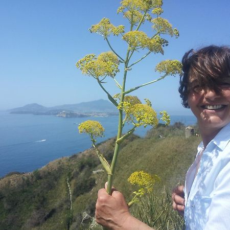 Mary'S Dream - Villa Overlooking Capri And Ischia In Sorrento Peninsula Massa Lubrense Exterior foto